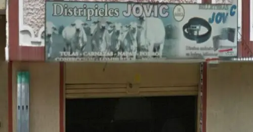 DISTRIPIELES JOVIC DISTRIPIELES JOVIC